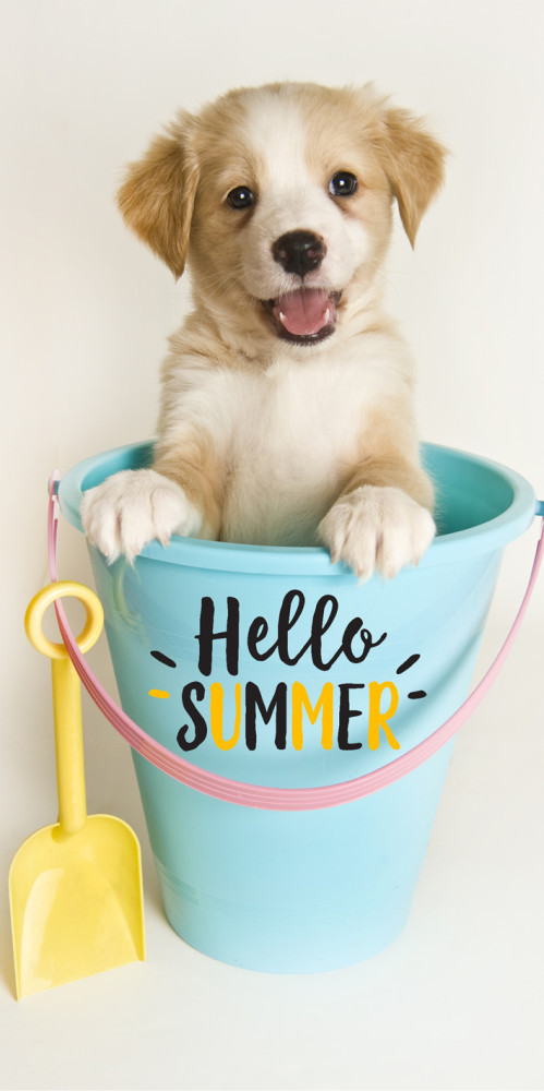 Dog Hello Summer bath towel, beach towel 70x140cm