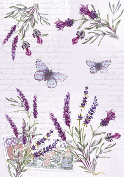 Colour Butterfly Lavender A/4 document folder with elastic band