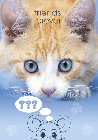 Cat Friends Forever A4 elastic folder