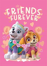 Paw Patrol Friends Furever fleece blanket 100x140cm