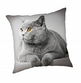 Cat Grey cushion cover 45x45 cm