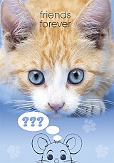 Cat Friends Forever A4 elastic folder