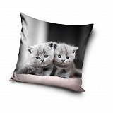 Cat Twins decorative pillow cover 40x40 cm Velvet