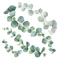 Eucalyptus αυτοκόλλητα τοίχου βινυλίου (54120)