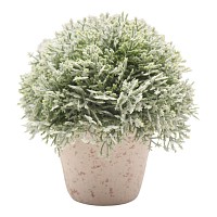 ΤΕΧΝΗΤΟ ΦΥΤΟ ΚΕΔΡΟΣ ΣΕ ΚΕΡΑΜΙΚΗ ΓΛΑΣΤΡΑ 12,7x12,7x14εκ.ANKOR