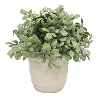 ΤΕΧΝΗΤΟ ΦΥΤΟ ΠΥΞΑΡΙ ΣΕ ΚΕΡΑΜΙΚΗ ΓΛΑΣΤΡΑ 15,3x15,3x15,3εκ.ANKOR