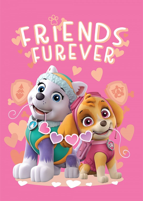 Paw Patrol Friends Furever fleece blanket 100x140cm