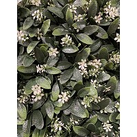 ΠΛΑΣΤΙΚΟ ΠΑΝΕΛ ΦΥΛΛΩΣΙΑΣ 50x50x5εκ. ANKOR