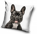 Dog cushion cover 40*40 cm