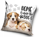 Dog Home cushion cover 40x40 cm Velvet