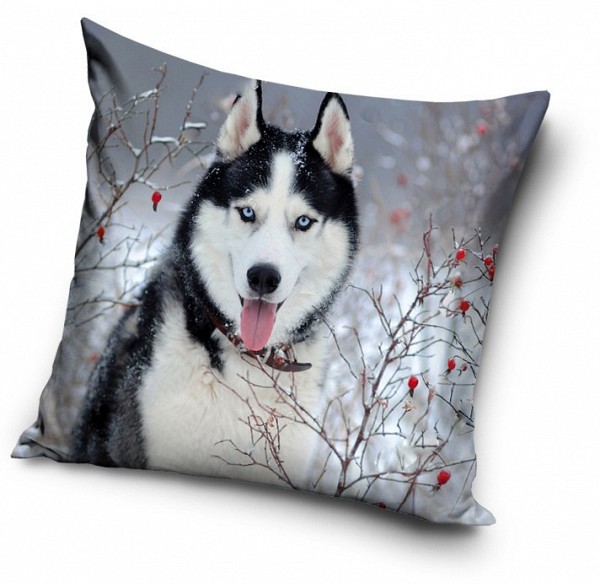 Dog decorative pillow 40x40 cm